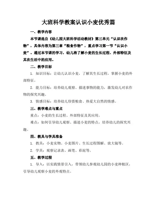 大班科学教案认识小麦优秀篇