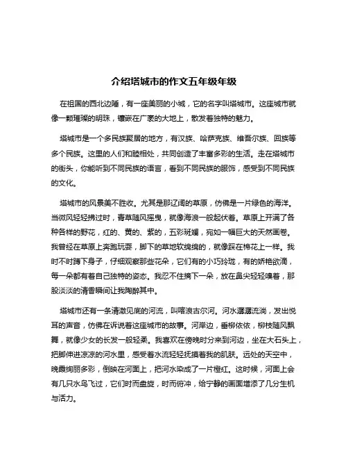 介绍塔城市的作文五年级年级