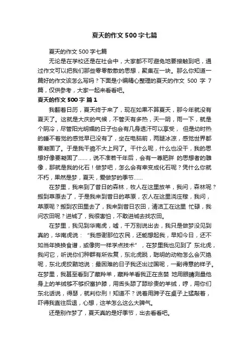 夏天的作文500字七篇