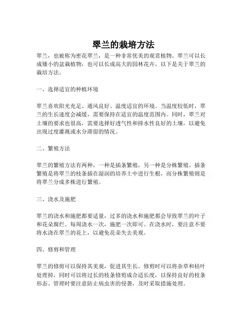 翠兰的栽培方法