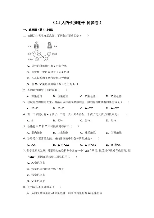 鲁科五四制版生物八年级下册人的性别遗传