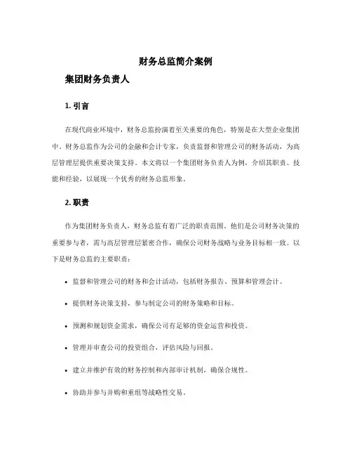财务总监简介案例 集团财务负责人