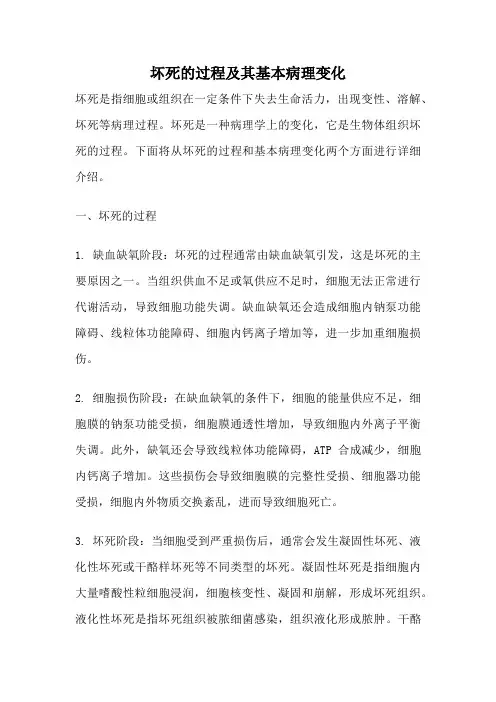 坏死的过程及其基本病理变化