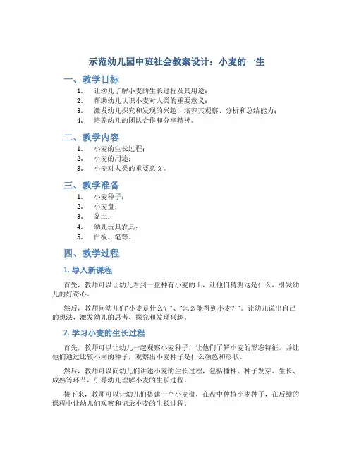 示范幼儿园中班社会教案设计：小麦的一生