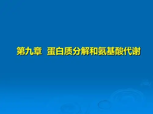 09蛋白质分解和氨基酸代谢共71页PPT资料
