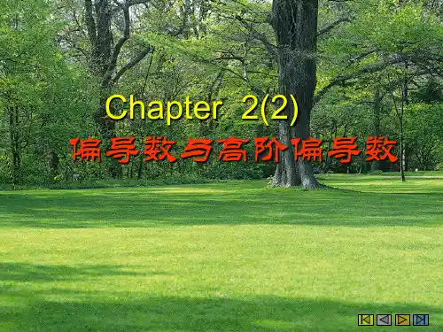 第2节偏导数与高阶导数
