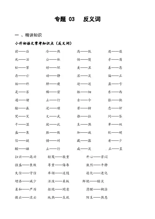 专题03 反义词-备战小升初语文精讲精练必刷题(全国通用)解析版