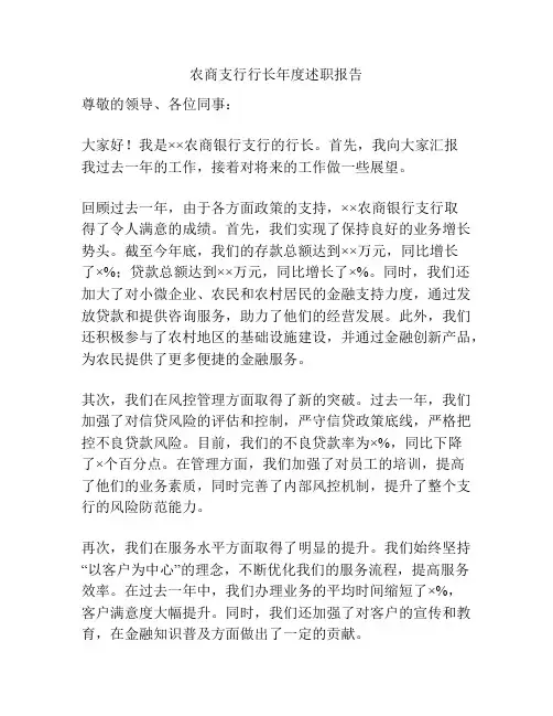 农商支行行长年度述职报告