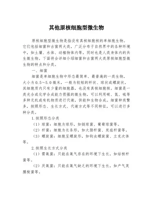 其他原核细胞型微生物