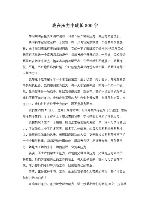 我在压力中成长800字