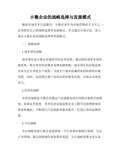 小微企业的战略选择与发展模式