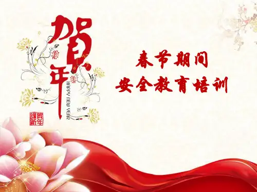 春节期间安全教育培训(PPT38页).pptx
