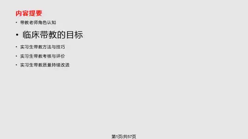 实习生带教PPT课件