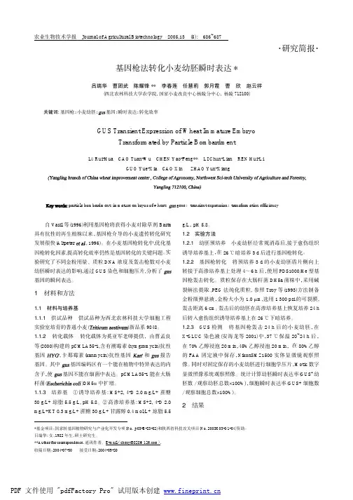 基因枪法转化小麦幼胚瞬时表达研究