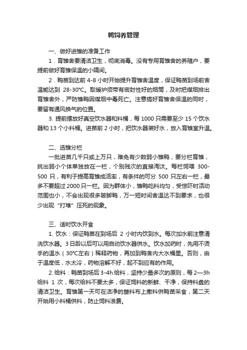 鸭饲养管理