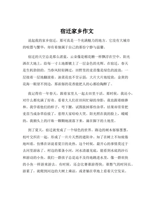 宿迁家乡作文