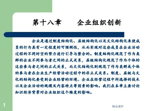 第十八章企业组织创新ppt课件