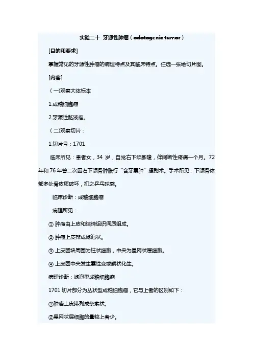 河北医大口腔组织病理学实验指导20牙源性肿瘤