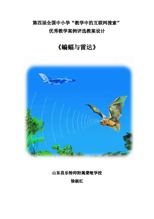 《蝙蝠与雷达》-徐淑红