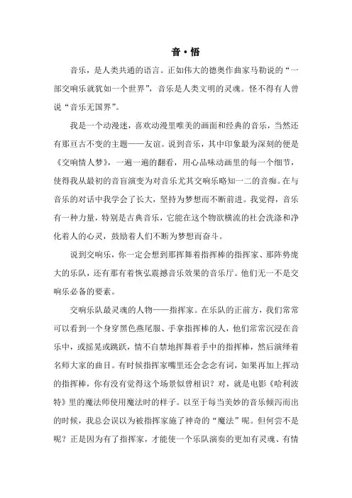 《音乐无国界》大学音乐选修论文