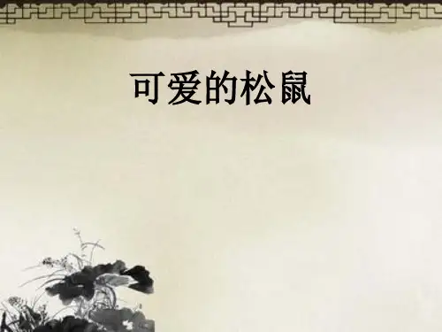 幼儿绘画教学PPT课件-2222 可爱的松鼠
