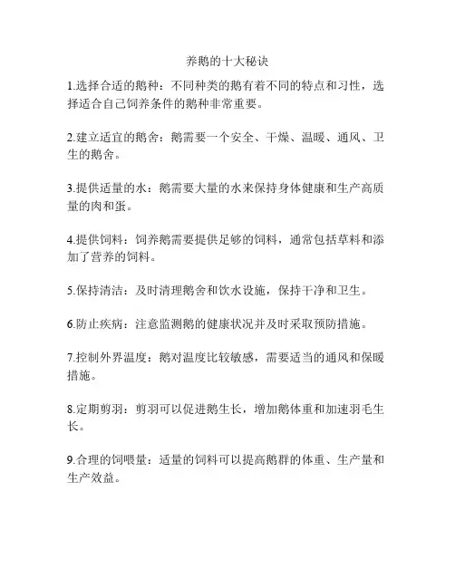 养鹅的十大秘诀