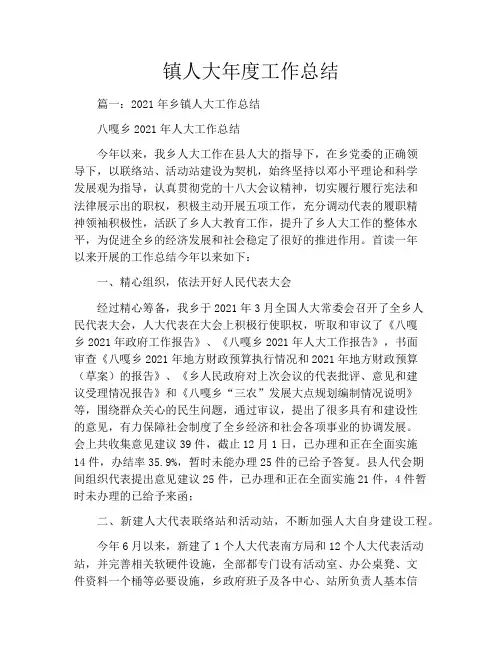 镇人大年度工作总结