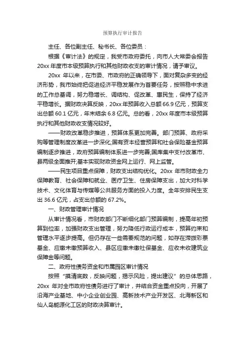 预算执行审计报告_公文写作范文_