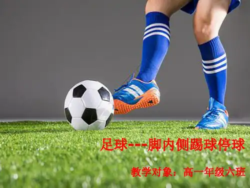 足球脚内侧踢球、停球 说课课件高中体育与健康人教版必修第一册