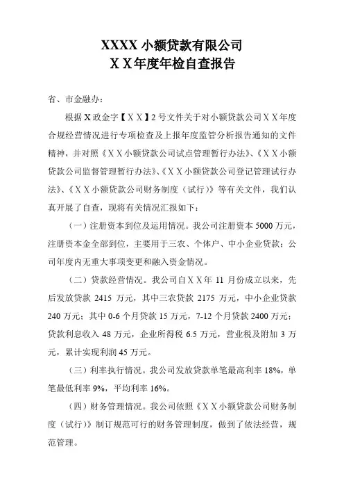 小额贷款有限公司年度年检自查报告
