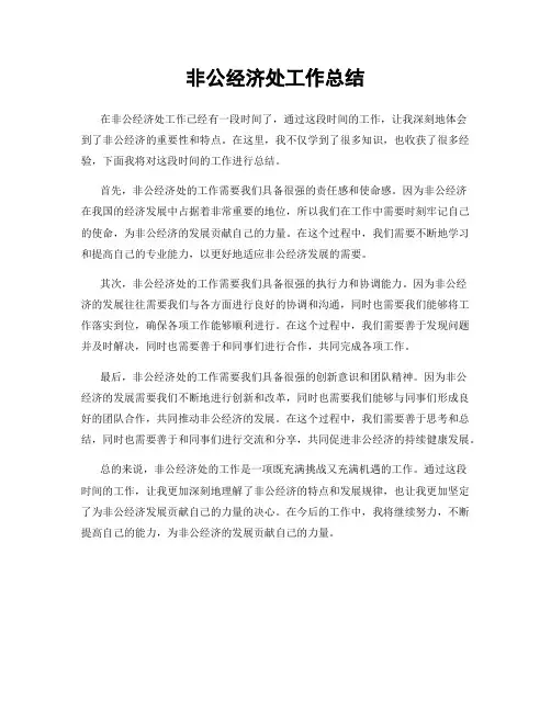 非公经济处工作总结