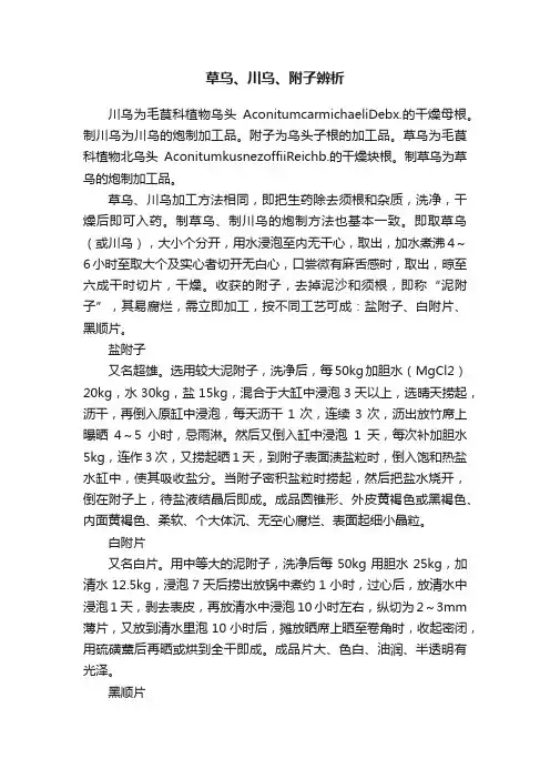 草乌、川乌、附子辨析