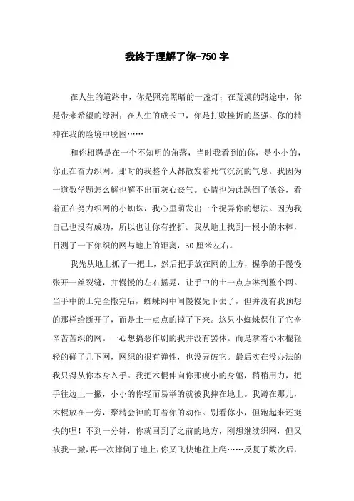 我终于理解了你-750字初二作文写人