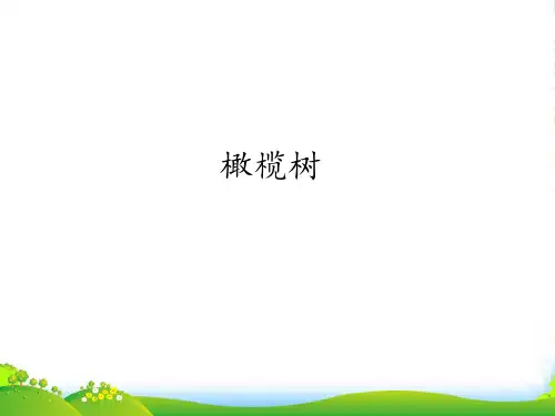 新人教版八年级上册音乐课件 第2单元：橄榄树(共21张PPT)