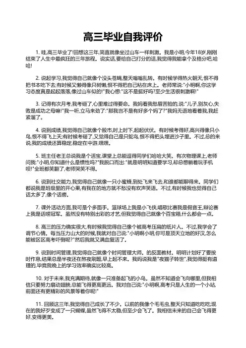 高三毕业自我评价