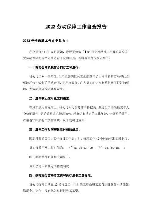 2023劳动保障工作自查报告