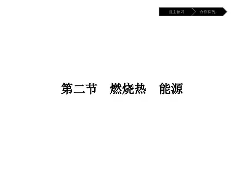 人教版高中化学选修4课件-第一章第二节燃烧热能源