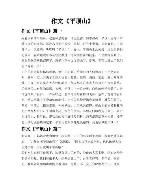 作文《平顶山》