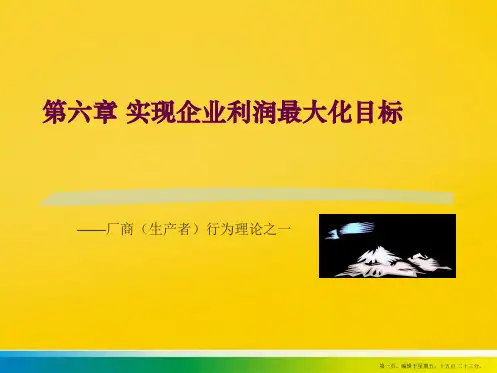 第六章 实现企业利润最大化目标PPT
