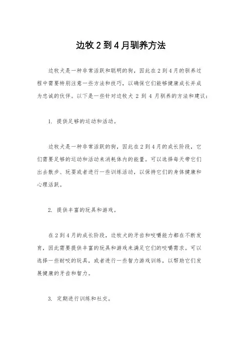 边牧2到4月驯养方法