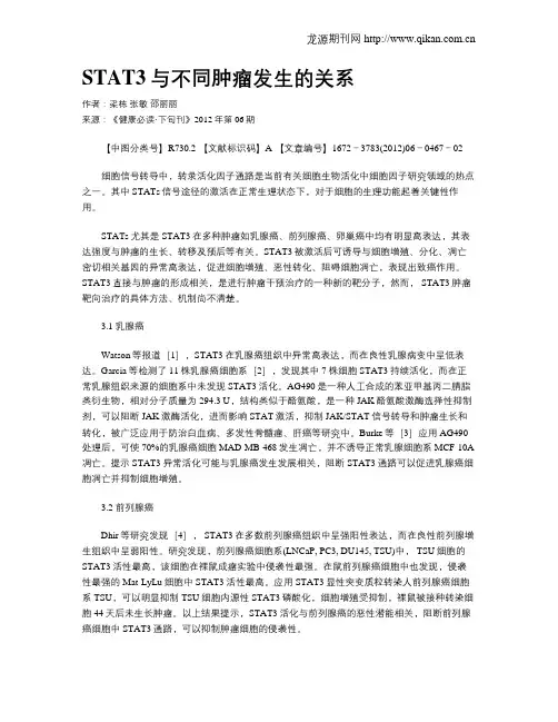 STAT3与不同肿瘤发生的关系