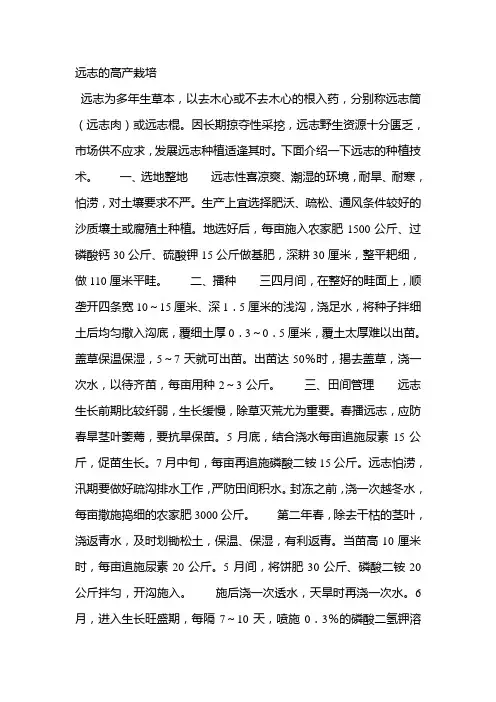 远志的高产栽培