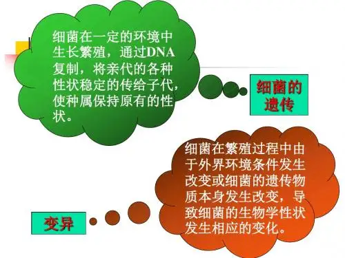 细菌的遗传与变异