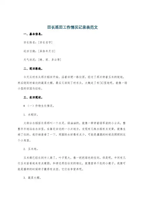 田长巡田工作情况记录表范文