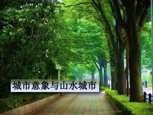 城市意象与山水城市专题研究