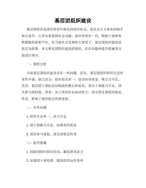 基层团组织建设