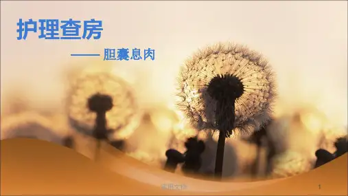 胆囊息肉护理查房