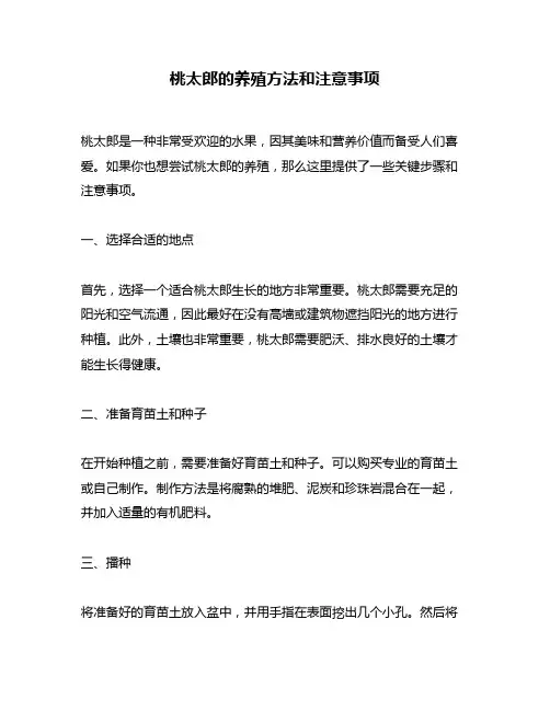 桃太郎的养殖方法和注意事项