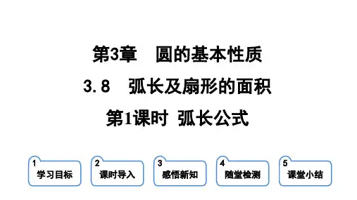 3.8.1 弧长公式 课件(共20张PPT)2023-2024学年浙教版九年级上册数学