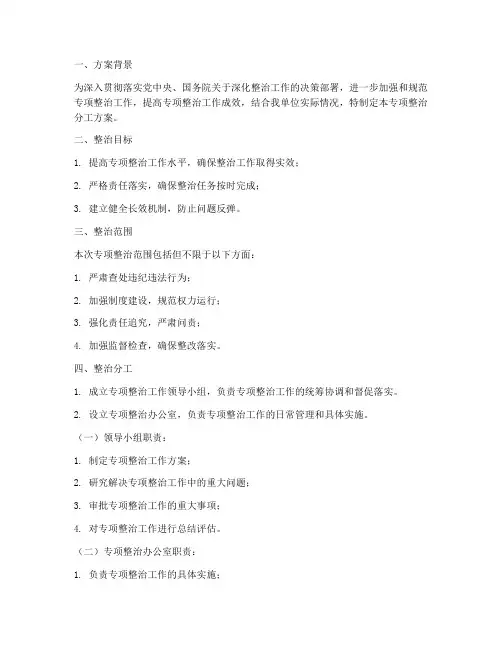 专项整治分工方案